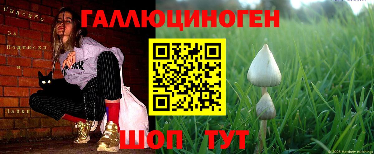 Галлюциногенные грибы Cubensis Каменск-Уральский